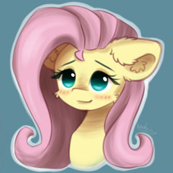 Size: 2500x2500 | Tagged: safe, artist:kindny-chan, fluttershy, pegasus, pony, g4, blushing, bust, cute, daaaaaaaaaaaw, female, high res, mare, portrait, shyabetes, simple background, solo