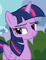 Size: 550x711 | Tagged: safe, screencap, twilight sparkle, alicorn, pony, g4, it ain't easy being breezies, season 4, cropped, female, lidded eyes, mare, smiling, solo, twilight sparkle (alicorn)