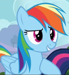 Size: 653x711 | Tagged: safe, screencap, rainbow dash, twilight sparkle, pegasus, pony, g4, it ain't easy being breezies, season 4, cropped, female, hoof on chest, lidded eyes, mare, offscreen character, smiling, solo focus
