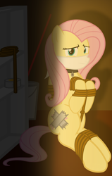 Size: 1400x2200 | Tagged: safe, artist:cardshark777, fluttershy, pegasus, pony, g4, bondage, bound and gagged, bound wings, bucket, captive, cloth gag, collar, covered cutie mark, digital art, duct tape, gag, helpless, looking at you, over the nose gag, pet tag, raised hoof, raised leg, rope, rope bondage, ropes, scared, sitting, solo, tape, tied up, wings, wip