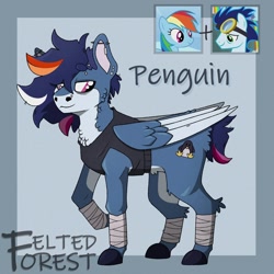 Size: 1746x1746 | Tagged: safe, artist:feltedforestart, rainbow dash, soarin', oc, oc:penguin, pegasus, pony, g4, best, blue background, butt fluff, ear piercing, earring, eyebrow piercing, female, goggles, goggles on head, hock fluff, jewelry, male, mare, neck fluff, nose piercing, offspring, parent:rainbow dash, parent:soarin', parents:soarindash, piercing, screencap reference, ship:soarindash, shipping, signature, simple background, stallion, straight