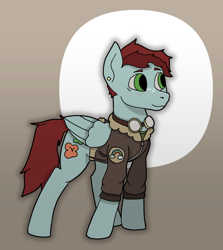 Size: 1626x1826 | Tagged: safe, artist:owslafa, derpibooru exclusive, oc, oc:heartsease, pegasus, pony, male, solo, stallion