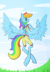 Size: 1503x2187 | Tagged: safe, artist:destiny_manticor, rainbow dash, pegasus, pony, semi-anthro, g4, clothes, cloud, digital art, facing away, female, flying, grass, mare, rear view, redraw, sky, solo, spread wings, wings