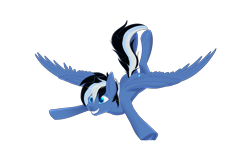 Size: 6000x4000 | Tagged: safe, artist:fluffyorbiter, oc, oc only, oc:thistle tube, pegasus, pony, g4, absurd resolution, black and white mane, blue coat, eye clipping through hair, eyebrows, eyebrows visible through hair, flying, frog (hoof), grin, happy, male, pegasus oc, raised tail, simple background, smiling, solo, spread wings, stallion, tail, teeth, transparent background, underhoof, wings