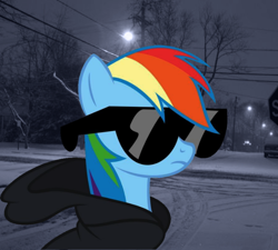 Size: 736x662 | Tagged: safe, edit, rainbow dash, pegasus, pony, g4, clothes, hoodie, real life background, solo, sunglasses, winter