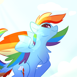 Size: 1000x1000 | Tagged: safe, artist:peribot, rainbow dash, pegasus, pony, g4, chest fluff, sky background, smiling, solo