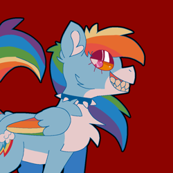 Size: 900x900 | Tagged: safe, artist:peribot, rainbow dash, pegasus, pony, g4, chest fluff, choker, red background, simple background, smiling, solo, spiked choker, teeth