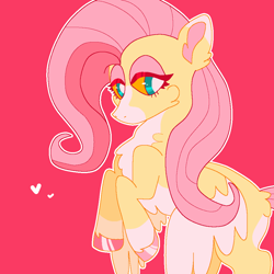 Size: 1000x1000 | Tagged: safe, artist:peribot, fluttershy, pegasus, pony, g4, fluffy, heart, red background, simple background, solo