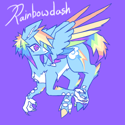 Size: 1240x1240 | Tagged: safe, artist:sainthorse, rainbow dash, pegasus, pony, g4, blue background, chest fluff, redesign, simple background, solo