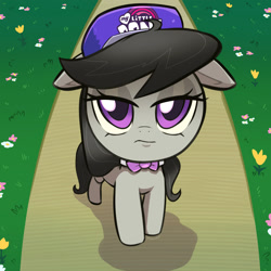 Size: 1200x1200 | Tagged: safe, artist:talimingi, octavia melody, earth pony, pony, g4, bangs, baseball cap, bowtie, cap, day, female, floppy ears, front view, frown, hat, lidded eyes, looking at you, looking up, looking up at you, mare, octavia is not amused, octavia's bowtie, ponified animal photo, shadow, solo, unamused