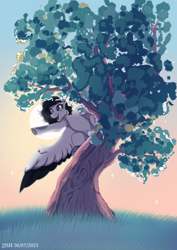 Size: 2480x3508 | Tagged: safe, artist:jjsh, oc, oc only, pegasus, pony, black hair, clinging, ear fluff, female, grass, gray eyes, high res, in a tree, leaves, looking forward, mare, nature, open mouth, pointing, raised hoof, sitting, sitting in a tree, sky, solo, spread wings, stars, sun, sunrise, tree, white fur, wings