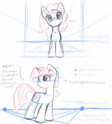Size: 1960x2160 | Tagged: safe, artist:dshou, pinkie pie, twilight sparkle, earth pony, pony, unicorn, g4, 2012, female, front view, high res, mare, old art, perspective, solo, three quarter view, tutorial, unicorn twilight