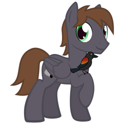 Size: 1406x1406 | Tagged: safe, artist:the smiling pony, oc, oc only, oc:wingbeat, bird, pegasus, pony, 2024 community collab, derpibooru community collaboration, g4, .svg available, blackbird, brown mane, brown tail, folded wings, full body, green eyes, grin, looking at you, male, pegasus oc, show accurate, simple background, smiling, smiling at you, solo, stallion, standing, svg, tail, three quarter view, transparent background, vector, wings