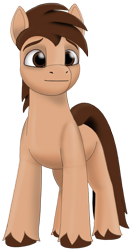 Size: 632x1204 | Tagged: safe, artist:dsb71013, derpibooru exclusive, oc, oc only, oc:night cap, earth pony, pony, 2024 community collab, derpibooru community collaboration, g5, earth pony oc, simple background, solo, transparent background, unshorn fetlocks