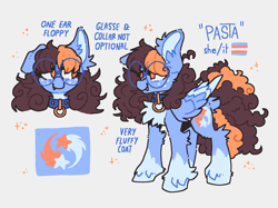Size: 2548x1909 | Tagged: safe, artist:pastacrylic, oc, oc only, oc:pasta, pegasus, chest fluff, collar, fluffy, freckles, gray background, one ear down, pegasus oc, pride, pride flag, pronouns, reference sheet, simple background, solo, transgender pride flag, unshorn fetlocks