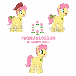 Size: 2560x2560 | Tagged: safe, artist:ramixe dash, posey bloom, earth pony, pony, series:make your tale, g4, g5, g5 to g4, generation leap, male, peony blossom, rule 63, simple background, solo, stallion, white background