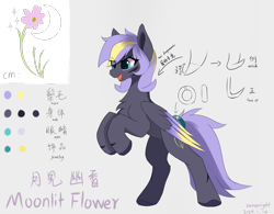 Size: 3200x2500 | Tagged: safe, artist:rainenight, oc, oc only, oc:moonlit flower, pegasus, pony, cutie mark, female, jewelry, reference sheet, simple background, wings