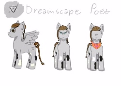 Size: 3508x2480 | Tagged: safe, artist:poet, oc, oc only, oc:dreamscape poet, pegasus, pony, braid, braided tail, glasses, persona, reference sheet, simple background, solo, tail, white background