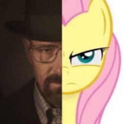 Size: 1098x1098 | Tagged: safe, edit, fluttershy, human, pony, g4, bad edit, frown, shitposting, walter white