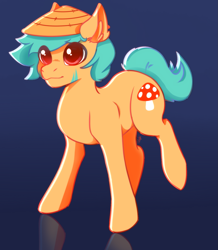 Size: 1471x1687 | Tagged: safe, artist:phreia, oc, oc only, earth pony, pony, gradient background, hat, male, mushroom, reflection, smiling, solo