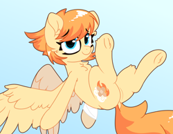 Size: 2250x1750 | Tagged: safe, artist:fakkajohan, oc, oc only, oc:flarewind, pegasus, pony, bandage, chest fluff, cute, dock, eyebrows, eyebrows visible through hair, female, gradient background, looking at you, smiling, solo, spread wings, tail, wings