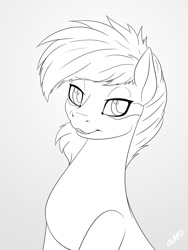 Size: 900x1200 | Tagged: safe, artist:miniferu, oc, oc only, bust, gradient background, male, sketch, solo, stallion