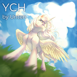 Size: 4000x4000 | Tagged: safe, artist:unt3n, oc, alicorn, pony, cloud, commission, dutch angle, grass, solo, your character here