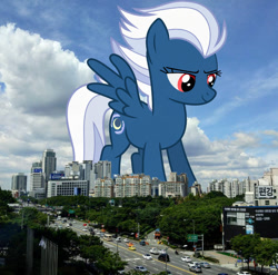 Size: 1080x1068 | Tagged: safe, artist:jaybugjimmies, edit, editor:jaredking779, night glider, pegasus, pony, g4, attack on pony, female, folded wings, giant pony, giantess, highrise ponies, irl, looking down, macro, mare, photo, ponies in real life, red eyes, seoul, solo, south korea, story included, wings
