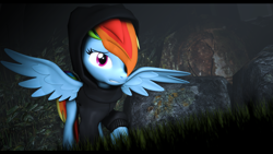 Size: 3840x2160 | Tagged: safe, artist:abitofjoy, rainbow dash, pegasus, pony, g4, 3d, clothes, forest, forest background, hoodie, nature, solo, source filmmaker, tree