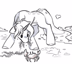 Size: 2862x2586 | Tagged: safe, artist:opalacorn, oc, oc only, crab, pony, unicorn, commission, floppy ears, grayscale, grazing, herbivore, horses doing horse things, male, monochrome, open mouth, seaweed, simple background, solo, stallion, white background