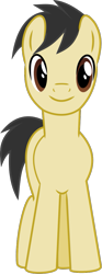 Size: 379x1014 | Tagged: safe, anonymous artist, oc, oc only, earth pony, pony, 2024 community collab, derpibooru community collaboration, g4, .svg available, base used, earth pony oc, front view, male, simple background, smiling, solo, stallion, svg, transparent background, vector