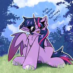 Size: 2000x2000 | Tagged: safe, artist:jubyskylines, twilight sparkle, alicorn, pony, g4, chest fluff, ear fluff, female, looking at you, mare, solo, talking to viewer, twilight sparkle (alicorn)