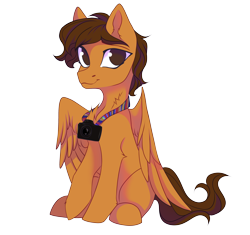 Size: 3606x3394 | Tagged: safe, artist:jsunlight, oc, oc only, oc:toanderic, pegasus, pony, 2024 community collab, derpibooru community collaboration, camera, chest fluff, ear fluff, hoof fluff, looking at you, raised hoof, simple background, sitting, solo, transparent background, wings