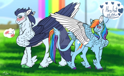 Size: 1920x1174 | Tagged: safe, artist:malinraf1615, rainbow dash, soarin', pegasus, pony, g4, ..., blushing, chest fluff, colored wings, deviantart watermark, dialogue, feathered fetlocks, female, leonine tail, male, mare, obtrusive watermark, rainbow waterfall, ship:soarindash, shipping, speech bubble, stallion, straight, tail, two toned wings, watermark, wings