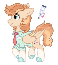Size: 1900x2128 | Tagged: safe, artist:pink-pone, oc, oc only, oc:tender heart, pegasus, pony, clothes, male, shirt, simple background, solo, stallion, transparent background