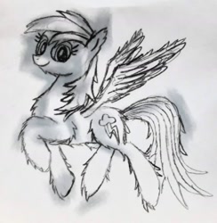 Size: 1588x1630 | Tagged: safe, artist:dhm, rainbow dash, g4, chest fluff, ear fluff, fluffy, monochrome, sketch, solo, traditional art