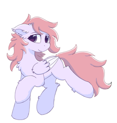 Size: 1131x1188 | Tagged: safe, artist:infinaitly, oc, oc only, pegasus, pony, chest fluff, colored wings, floppy ears, looking at you, simple background, smiling, solo, two toned wings, white background, wings