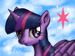 Size: 1600x1200 | Tagged: safe, artist:3500joel, twilight sparkle, alicorn, pony, g4, solo, twilight sparkle (alicorn)