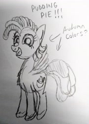 Size: 2783x3851 | Tagged: safe, artist:dhm, oc, oc:pudding pie, pony, high res, monochrome, secret santa, sketch, solo, traditional art