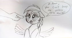 Size: 3845x2056 | Tagged: safe, artist:dhm, rainbow dash, oc, oc:anon, pony, g4, blushing, boop, high res, monochrome, sketch, speech bubble, spread wings, traditional art, wingboner, wings