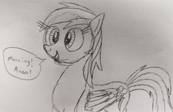 Size: 3403x2207 | Tagged: safe, artist:dhm, rainbow dash, pony, g4, greeting, high res, monochrome, sketch, solo, speech bubble, traditional art
