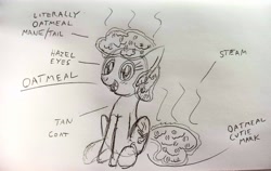 Size: 4160x2631 | Tagged: safe, artist:dhm, oc, oc:oatmeal, pony, drawthread, monochrome, reference sheet, sketch, solo, traditional art