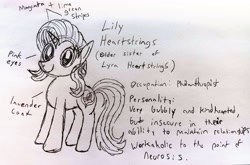 Size: 3754x2479 | Tagged: safe, artist:dhm, oc, oc:lily heartstrings, pony, high res, monochrome, reference sheet, sketch, solo, traditional art