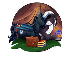 Size: 4000x3000 | Tagged: safe, artist:monsoonvisionz, oc, oc only, oc:squall windfeather, oc:stellar aurorae, bat pony, pegasus, pony, fallout equestria, bag, bat pony oc, blushing, book, braid, cowboy hat, cuddling, hat, lantern, lying down, pile of books, romantic, saddle bag, simple background, smiling, tail, tail wrap, tent, three toned mane, transparent background