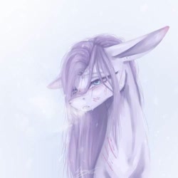 Size: 500x500 | Tagged: safe, artist:kiyomit, oc, oc:crystal shine, cold, fog, sad, snow, solo