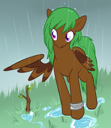 Size: 767x882 | Tagged: safe, artist:pawprintstars, oc, oc only, oc:pitter patter, pegasus, pony, colored wings, female, mare, rain, sapling, solo, spread wings, two toned wings, wet, wings