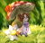 Size: 2244x2160 | Tagged: safe, artist:juiss, oc, oc only, earth pony, pony, snail, flower, micro, mushroom, rain, sitting, solo