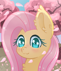 Size: 2000x2341 | Tagged: safe, artist:bubblegooey, fluttershy, pegasus, pony, g4, :3, adorable face, blushing, bust, cherry blossoms, chest fluff, cute, ear fluff, female, flower, flower blossom, glowing, glowing eyes, grass, green eyes, high res, looking at you, mare, petals, pink mane, portrait, shyabetes, signature, sky, smiling, smiling at you, solo, tree