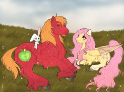 Size: 1816x1348 | Tagged: safe, artist:mayka-7, angel bunny, big macintosh, fluttershy, earth pony, pegasus, pony, rabbit, g4, animal, beard, blushing, chest fluff, cute, facial hair, female, grass, grass field, larger male, looking at each other, looking at someone, lying down, macabetes, male, mare, missing accessory, prone, ship:fluttermac, shipping, shyabetes, smaller female, smiling, smiling at each other, stallion, straight, unshorn fetlocks