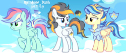 Size: 1280x543 | Tagged: safe, artist:vi45, oc, oc only, pegasus, pony, g4, armor, female, mare, sky background